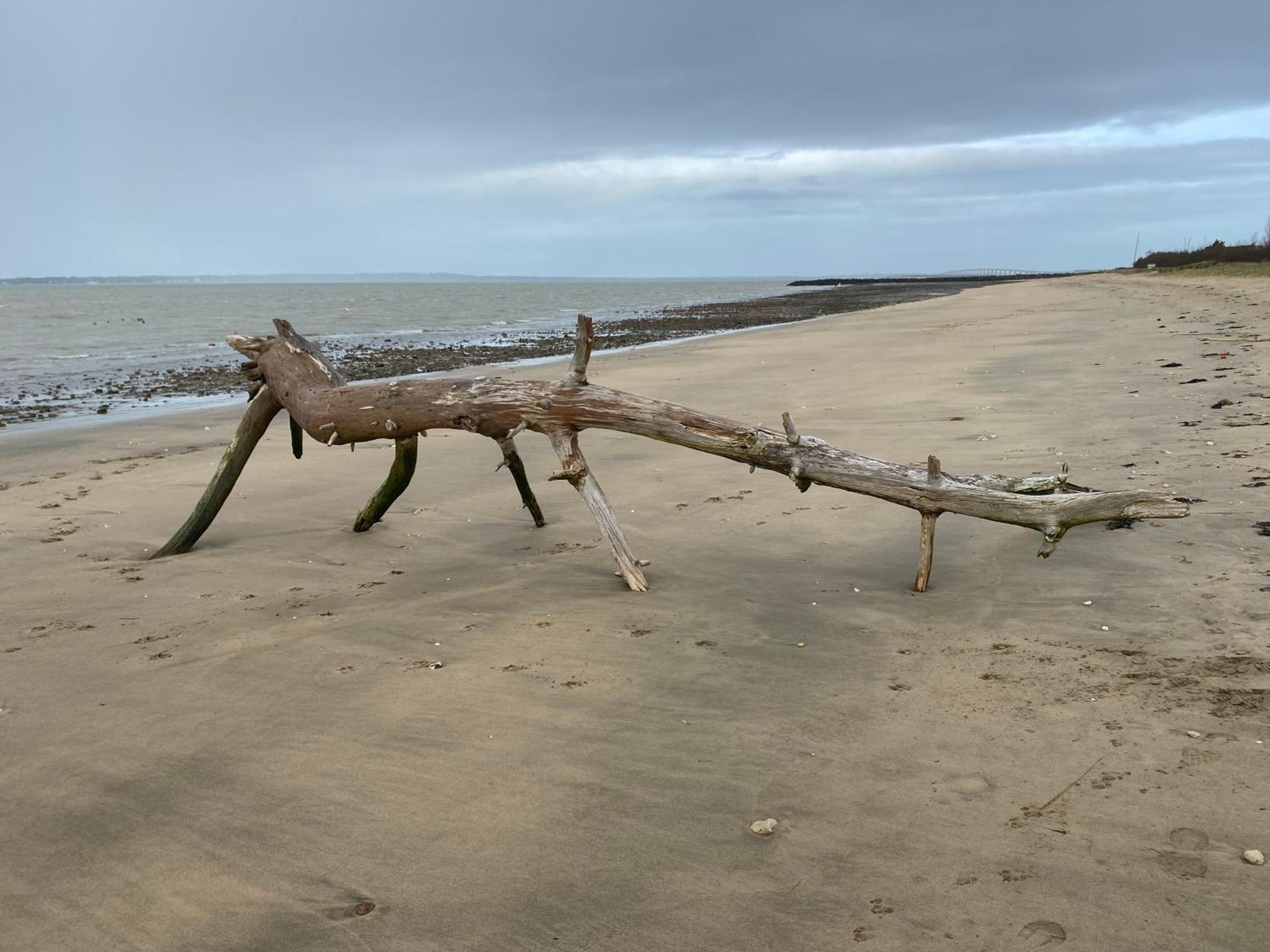 Willa Entre Plage Et Marais Bourcefranc Zewnętrze zdjęcie